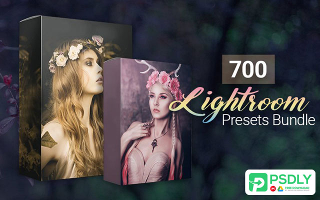Inkydeals 700 Amazing Lightroom Presets Bundle