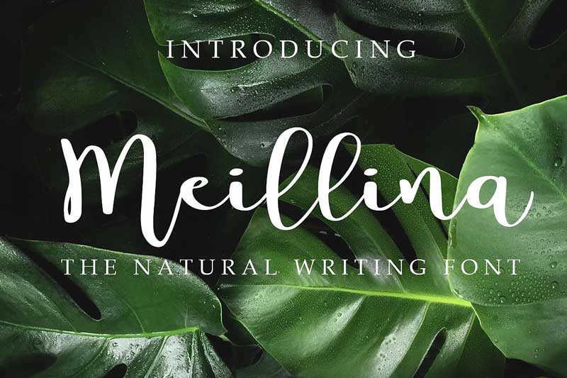 Meillina Natural Font