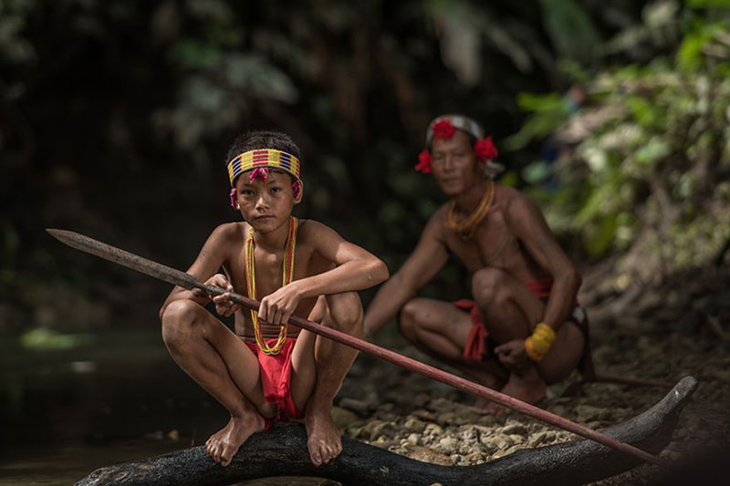 Rain Forest Desktop Presets 4594872 8