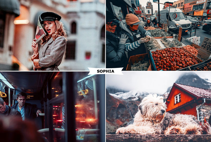 Sophia Photoshop Action 4404495