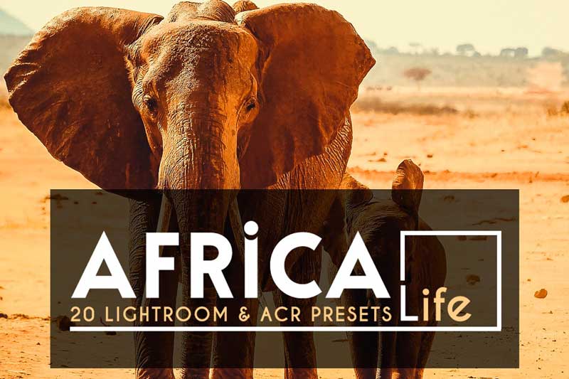 20 Africa Life Lightroom 2526ACR Preset 4118145