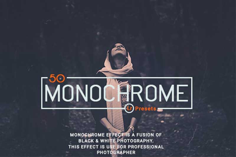 50 Monochrome Lightroom Presets 22854119 Free Download