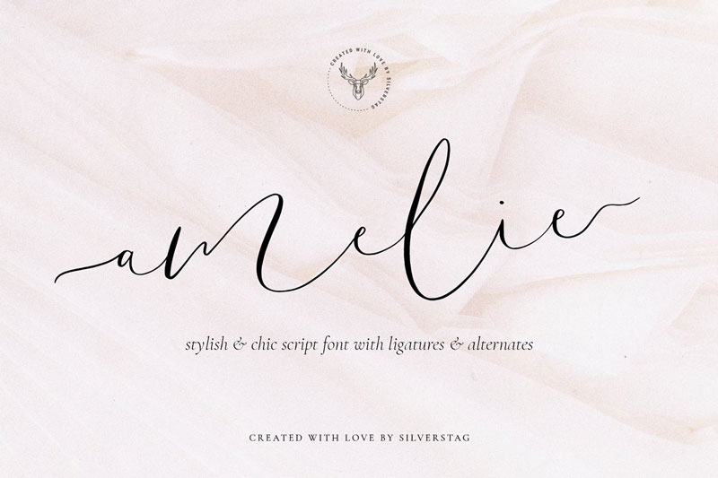 Amelie Chic 2526 Elegant Script Font 4723543