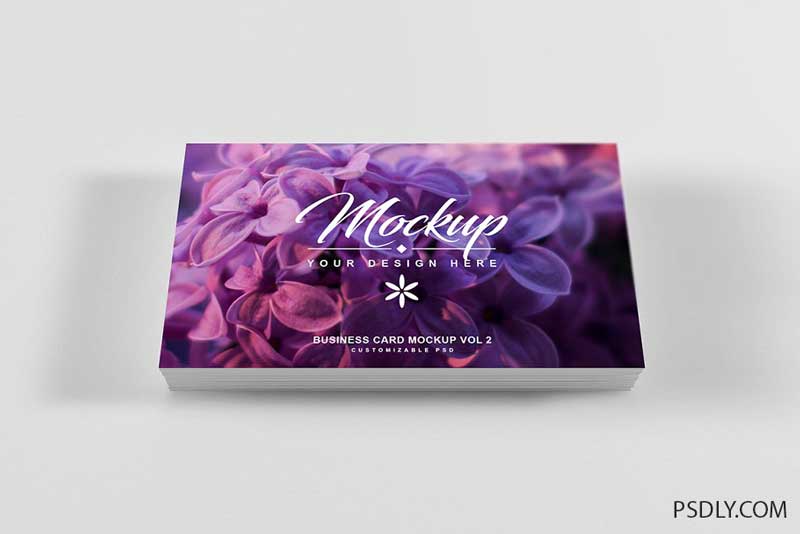 Business Card Mockup Vol 2 3