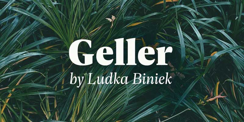 Geller Sans Font Family