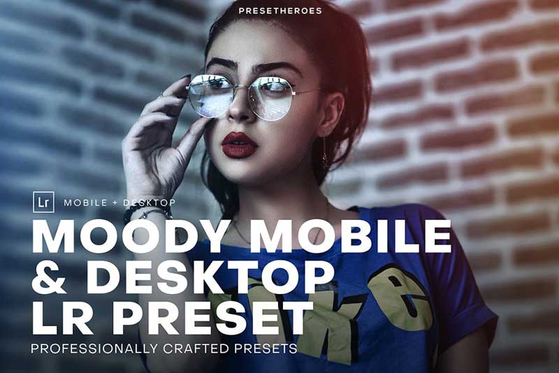 Moody Mobile and Desktop Lightroom 4561578 Free Download