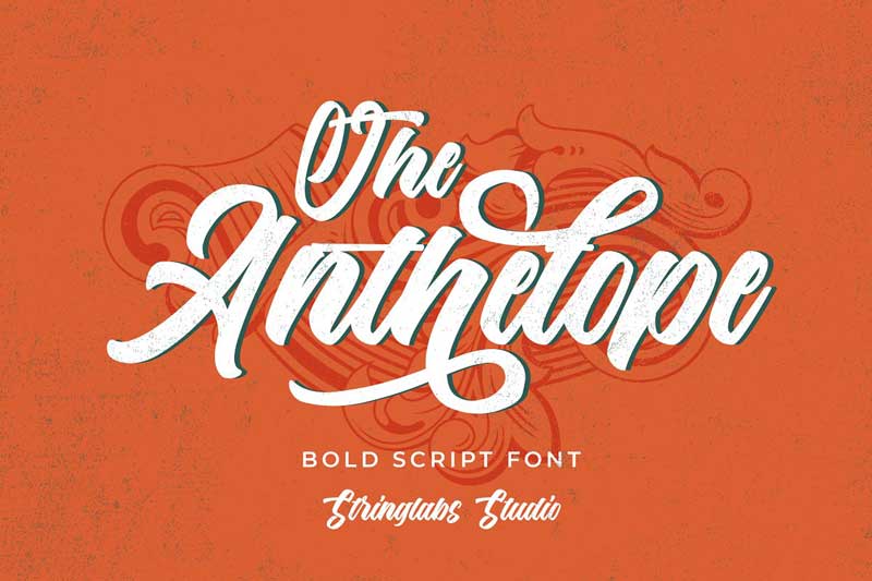The Anthelope Retro Script Font 4713237