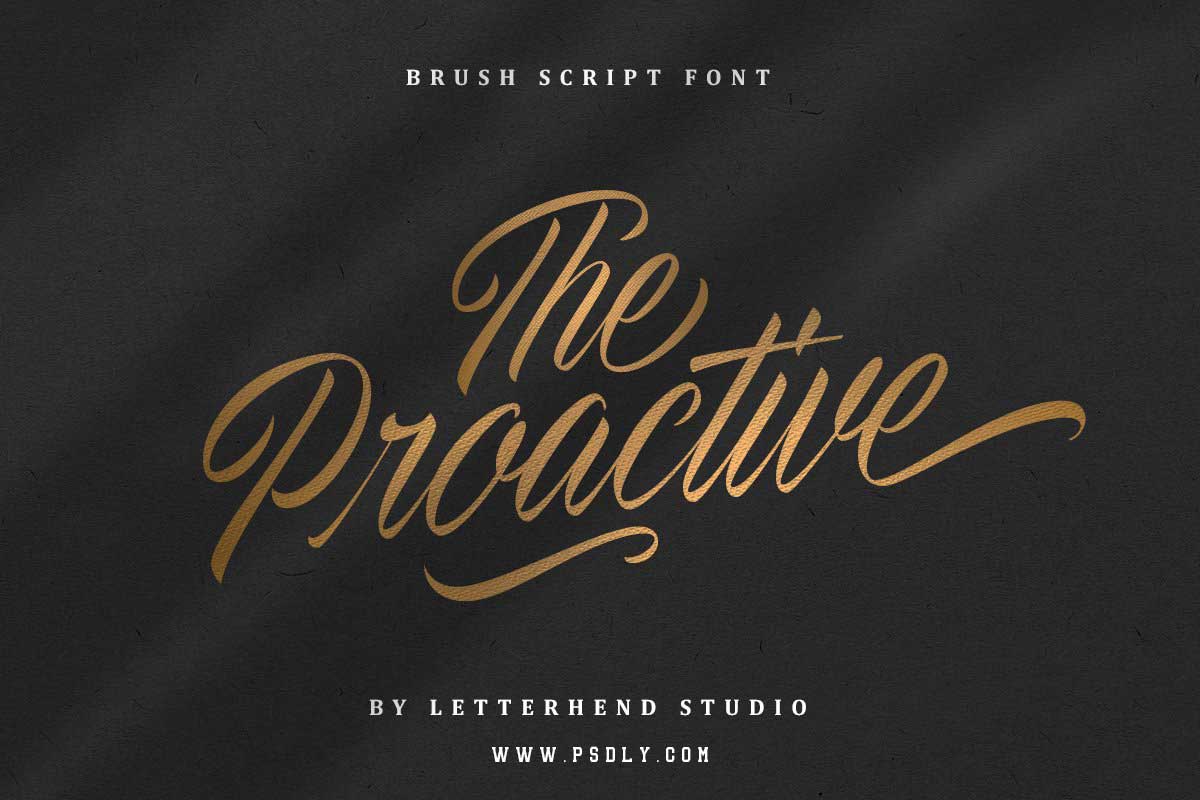 The Proactive Script Font 4689317