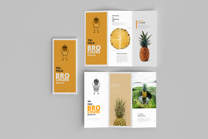 3-Fold (Tri-Fold) Brochure Mockups 26039647