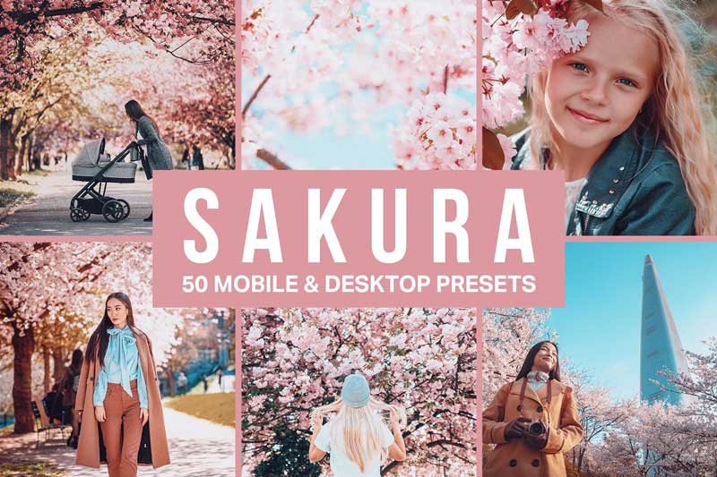 50 Sakura Lightroom Presets and LUTs 4498892