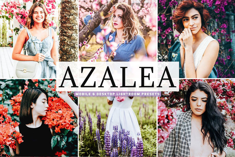 Azalea Lightroom Presets Pack 4742189
