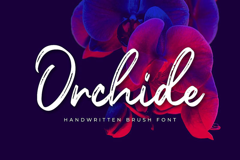 Orchide Handwritten Brush Font