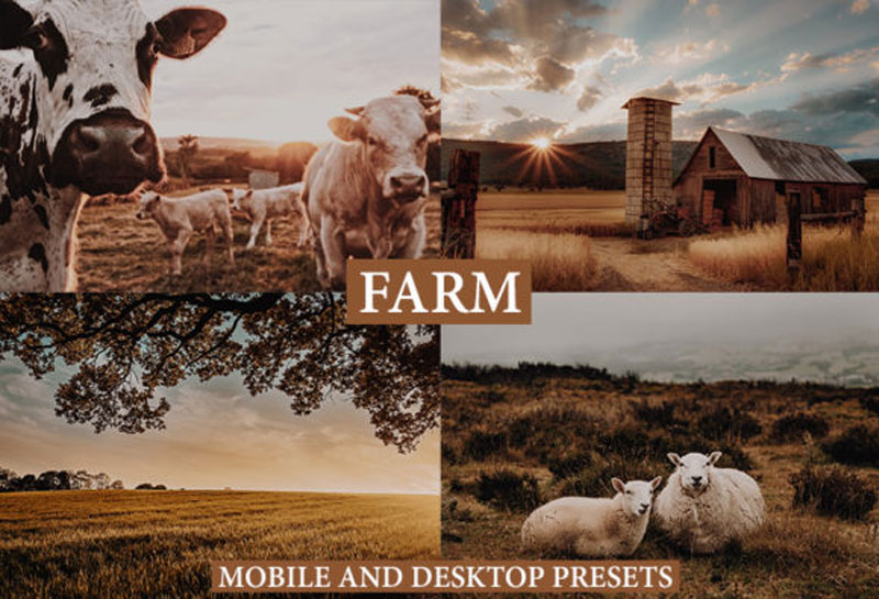 Cinematic Farm Mobile 2526 Desktop Presets