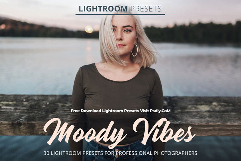 Moody Vibes Presets 4801344
