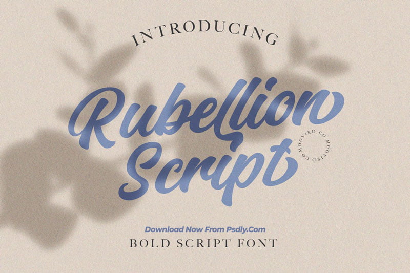 Rubelion Script 4869376
