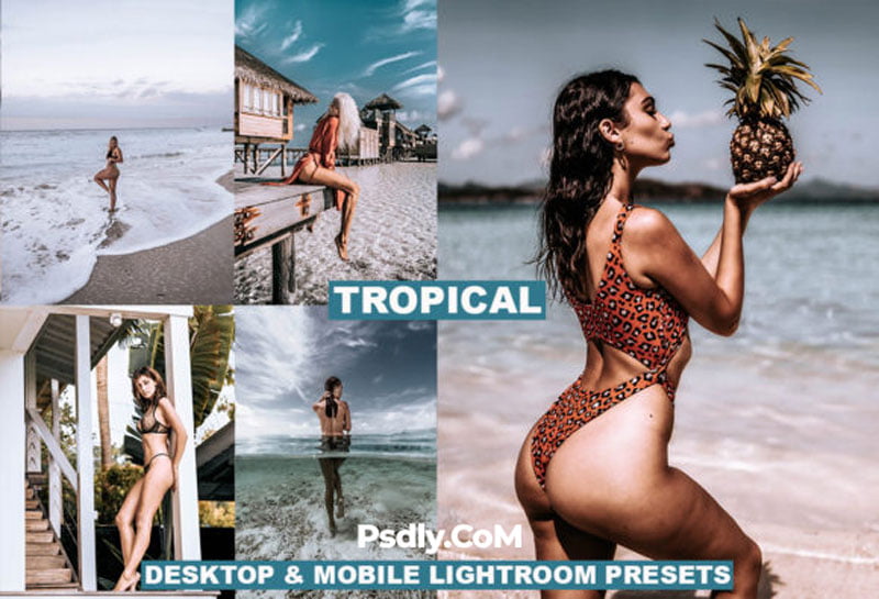 Tropical Mobile and Desktop Presets 4129244