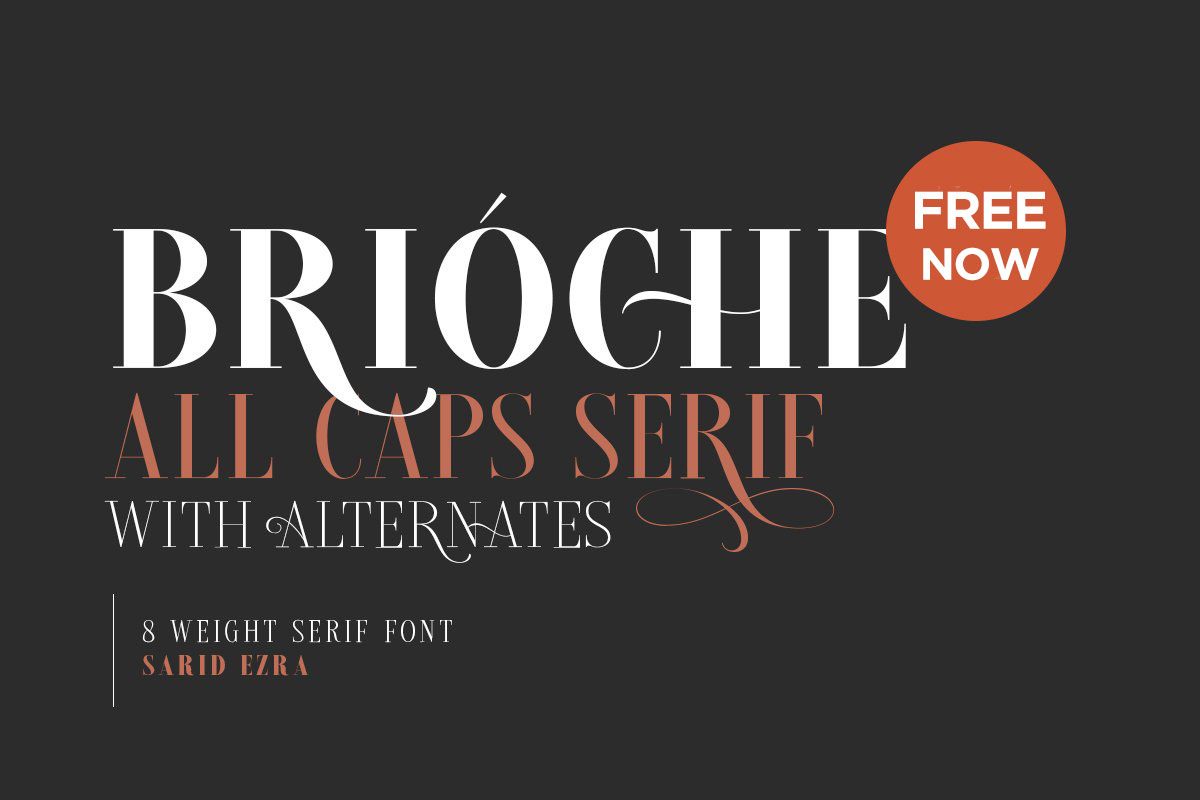Brioche Font Family 4552637