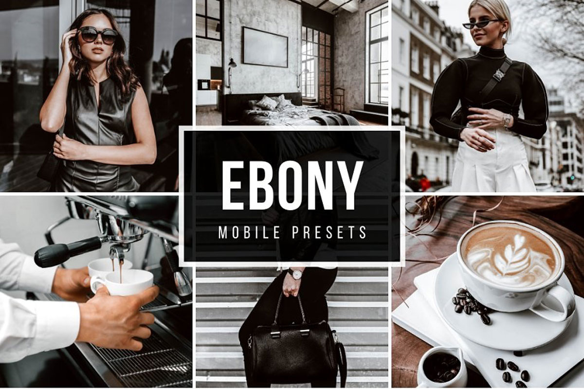 Mobile lightroom Presets EBONY 5025514