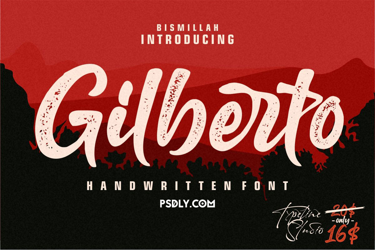 Gilberto a Stylish Brush