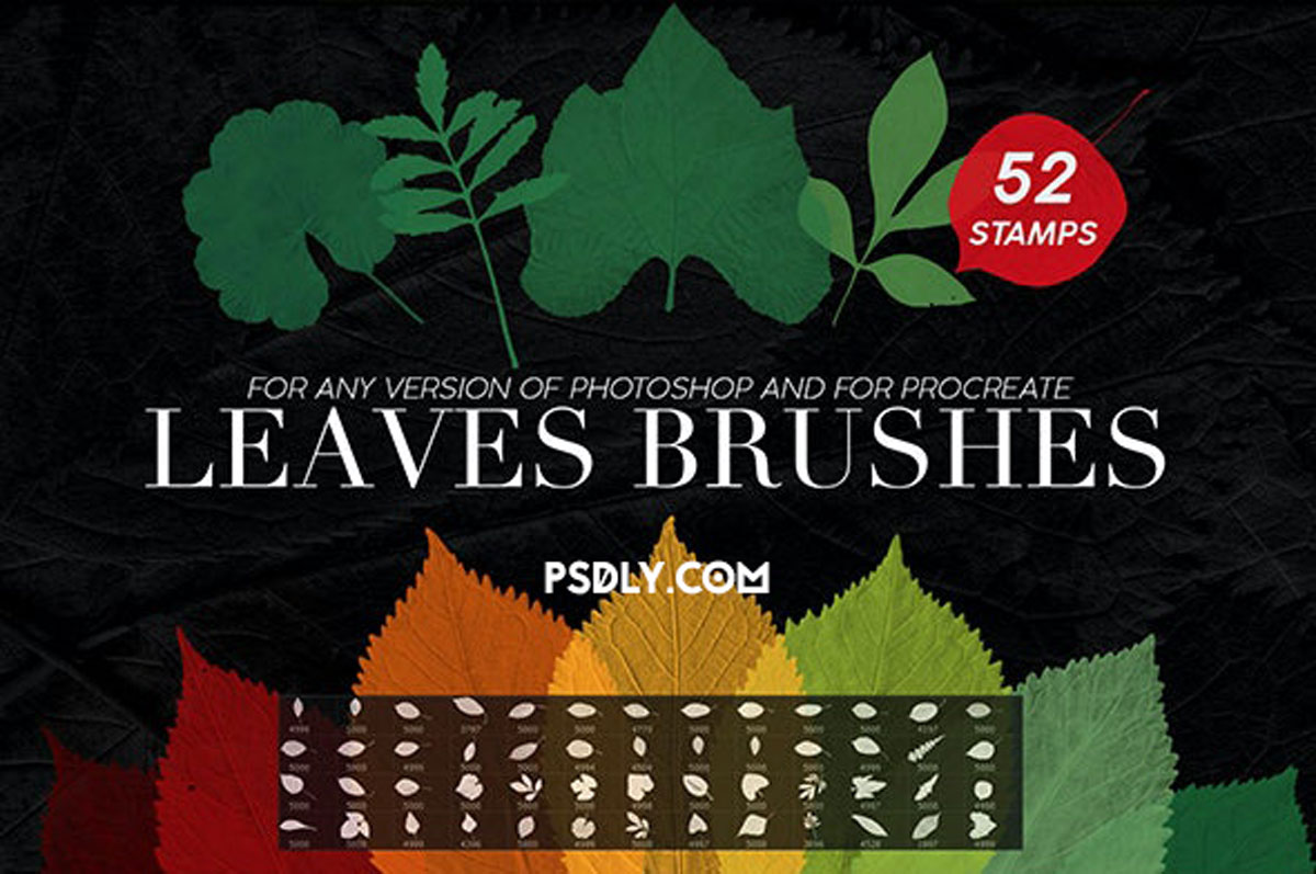 GraphicRiver 52 Leaves Photoshop Stamp Brushes 27969587