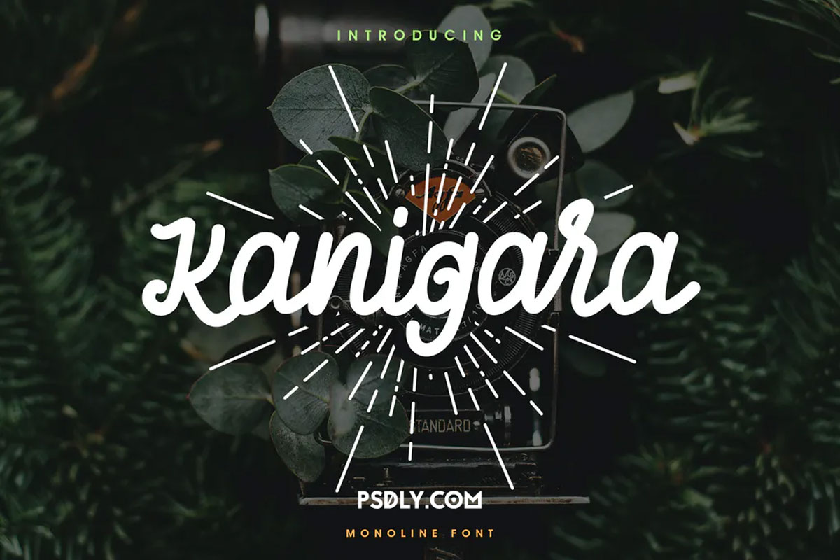 Kanigara - Monoline Font