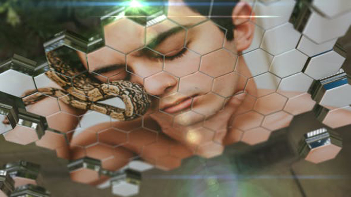 Videohive Honeycomb Slideshow 18709757