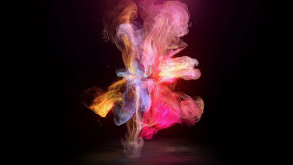 Videohive Blooming Butterfly Logo Reveal 23976167