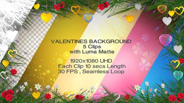 Videohive Valentines Backgrounds 5 clips with Luma Matte 25564471