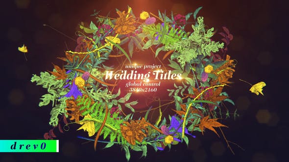 Videohive Wedding Titles/ Hand Draw/ Love Story/ Vintage Typography/ Merry Christmas/ Plants/ Flowers/ Wreath 29432563