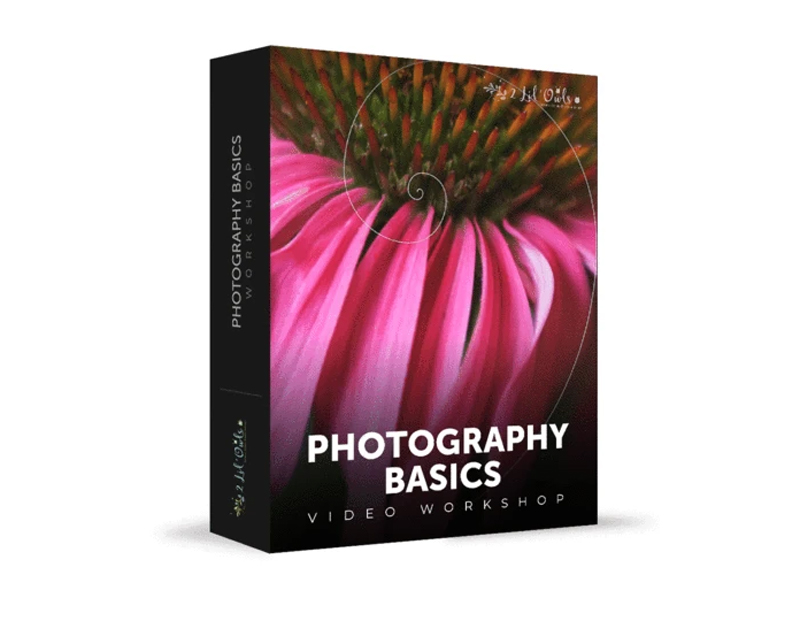 Lenslab - Photography Basics Workshop