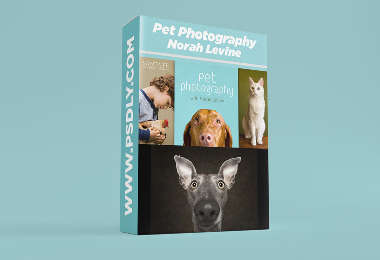 Pet Photography With Norah Levine