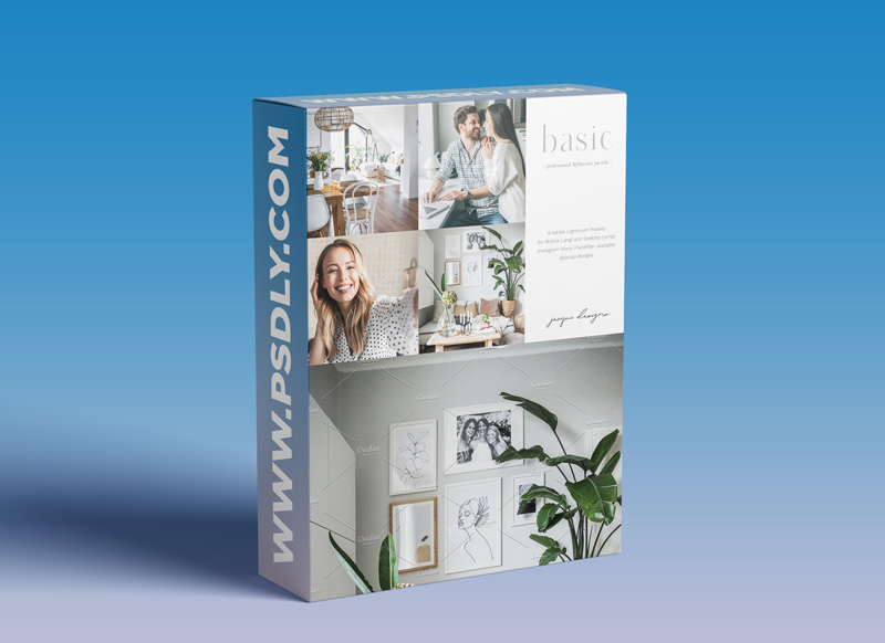 CreativeMarket Basic Lightroom Preset Pack 5552546