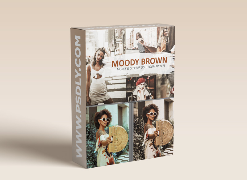 CreativeMarket Lightroom Brown Presets 5639204