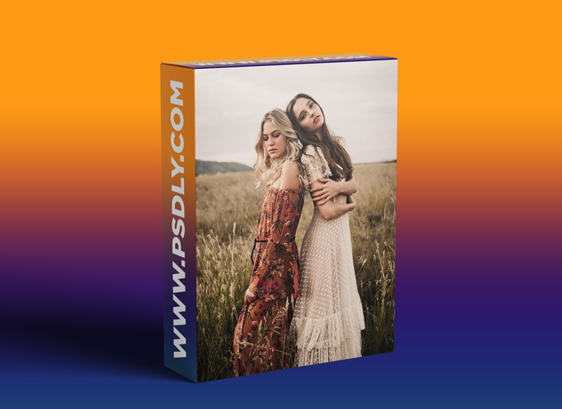 The Willow Collection for Lightroom