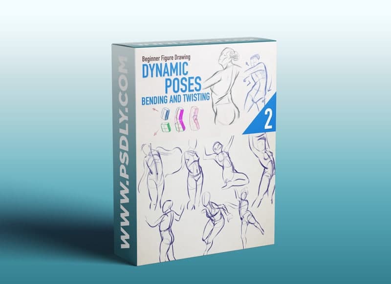 Beginner Figure Drawing Fundamentals - Dynamic Forms