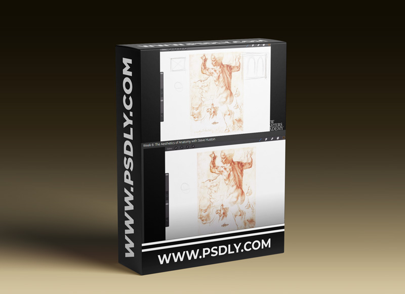 Art Anatomy for Beginners - Week 6: The Aesthetics of Anatomy with Steve Huston