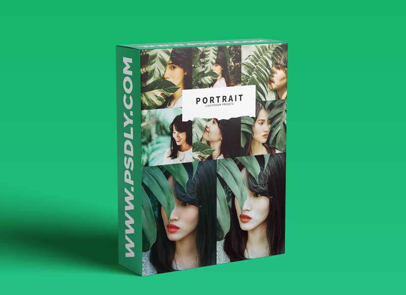 CreativeMarket - 10 Portrait Lightroom Presets 5731235