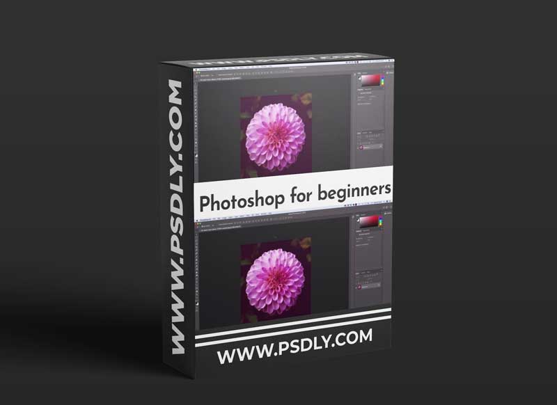 Photoshop for beginners