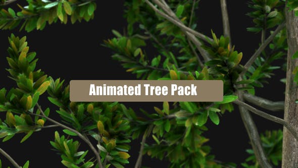 Videohive Animated Tree Pack 28600653