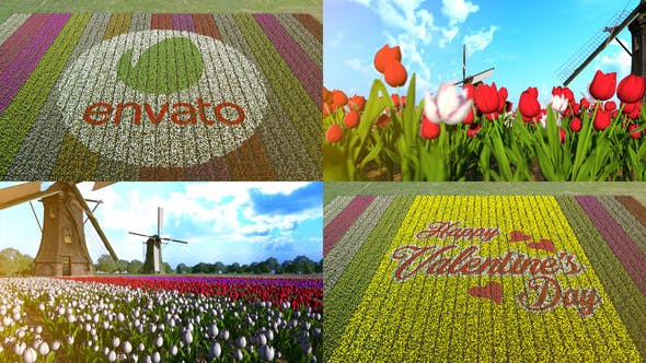 Videohive Flower Field 30180636