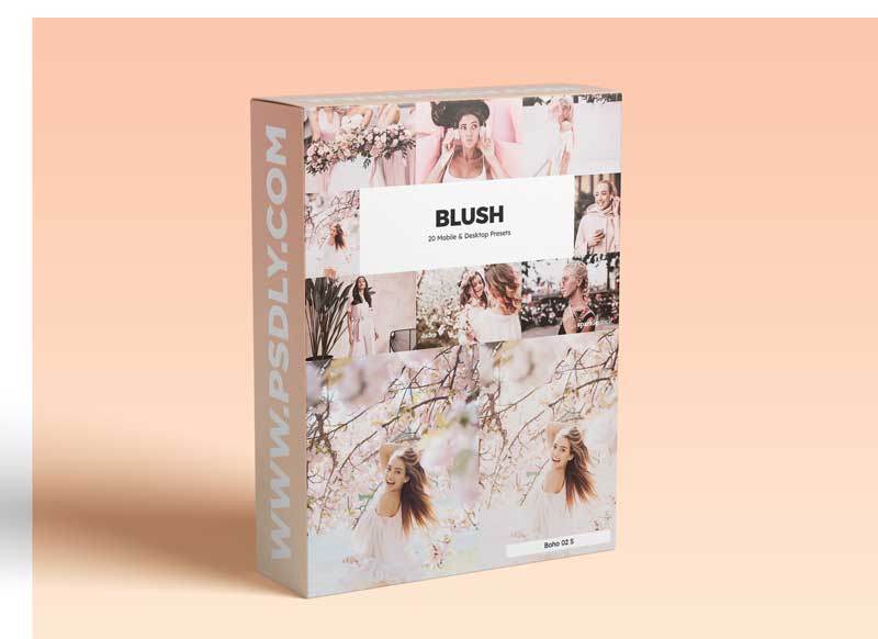 20 Blush Lightroom Presets & LUTs