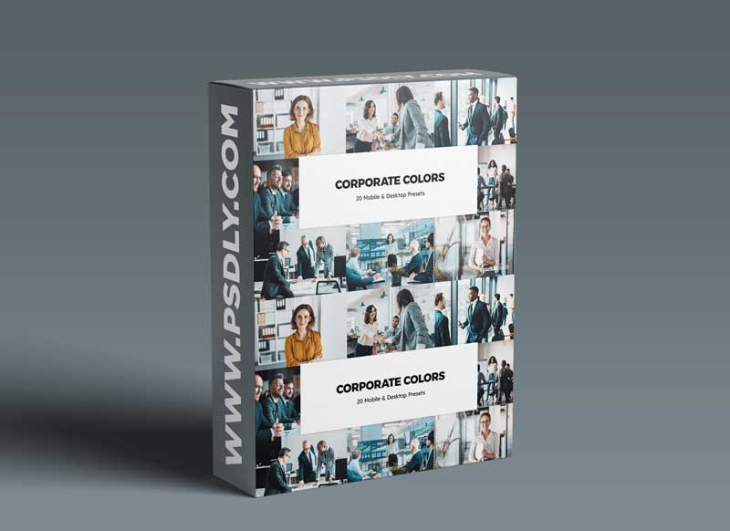 20 Corporate Colors Lightroom Presets & LUTs