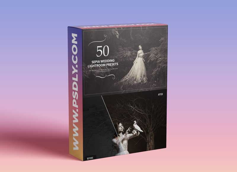 50 Sepia Wedding Lightroom Presets 5784213