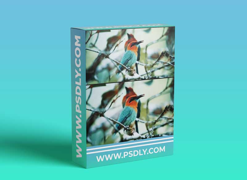 Color Patterns and their trends