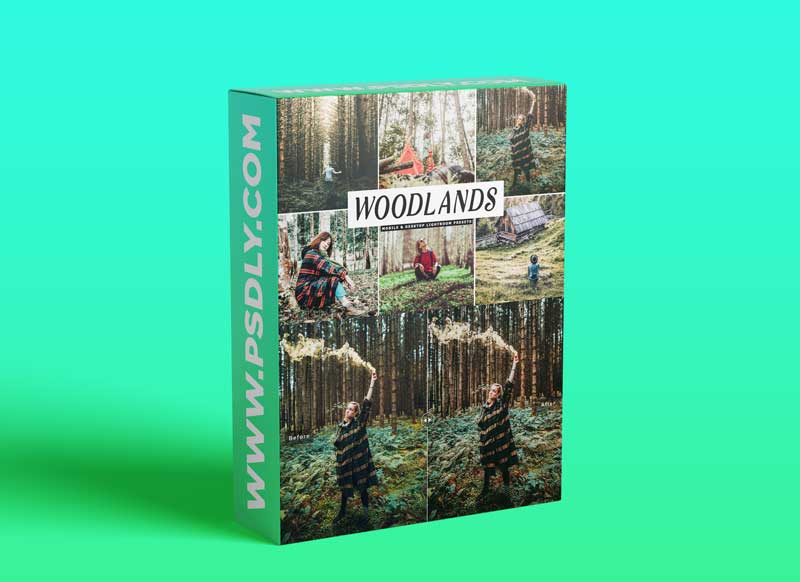 CreativeMarket - 10 Woodland Mobile & Lightroom 5900247