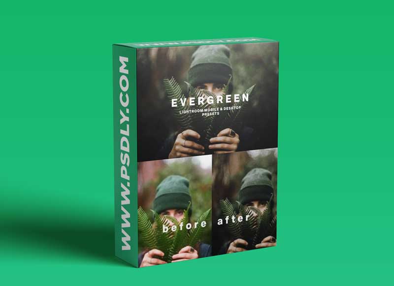 CreativeMarket - EVERGREEN LIGHTROOM PRESETS 5756318