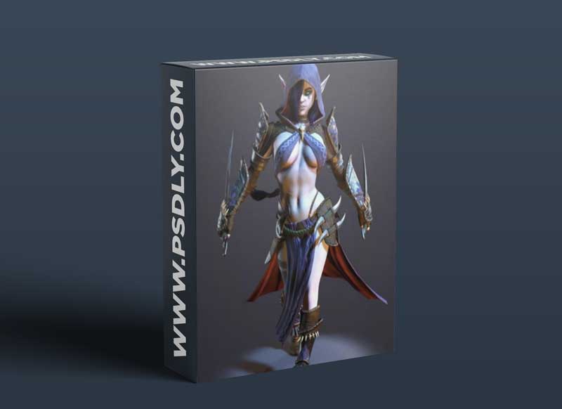 Dark Elf Assassin 3D Model