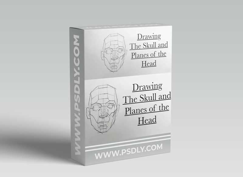 Drawing the Skull and Planes of the Head