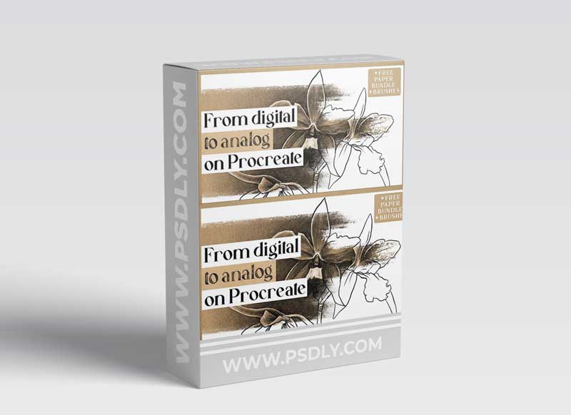 From Digital to Analog: A Sketchbook on your iPad using Procreate