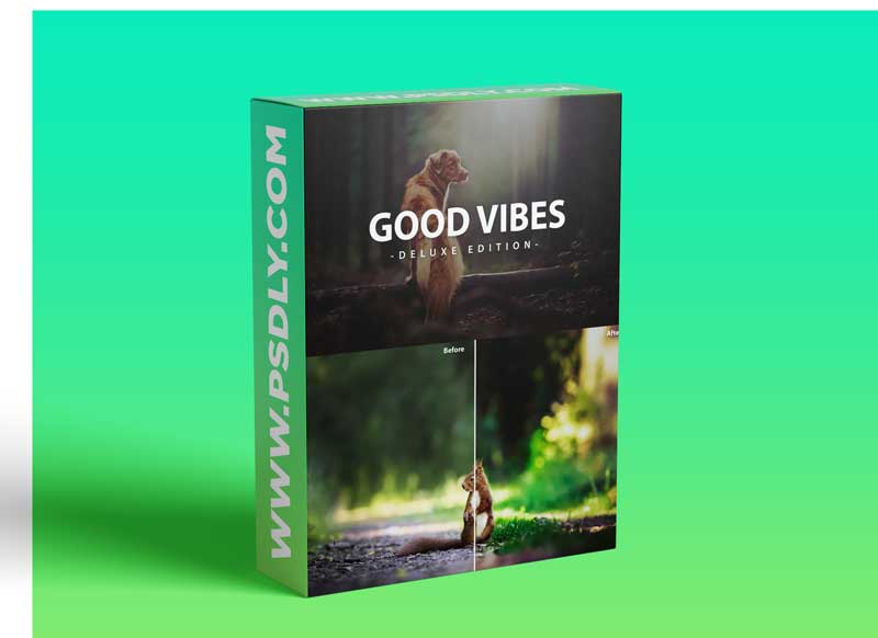 Good Vibes Deluxe Edition | Fro Mobile and Desktop